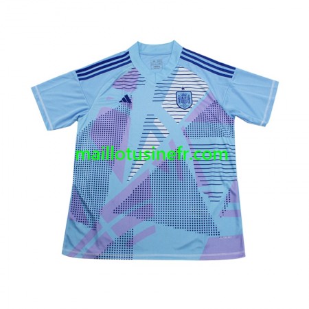 Maillot de Foot Espagne Extérieur Gardien UEFA EURO 2024 Maillot de Foot Espagne Extérieur Gardien UEFA EURO 2024